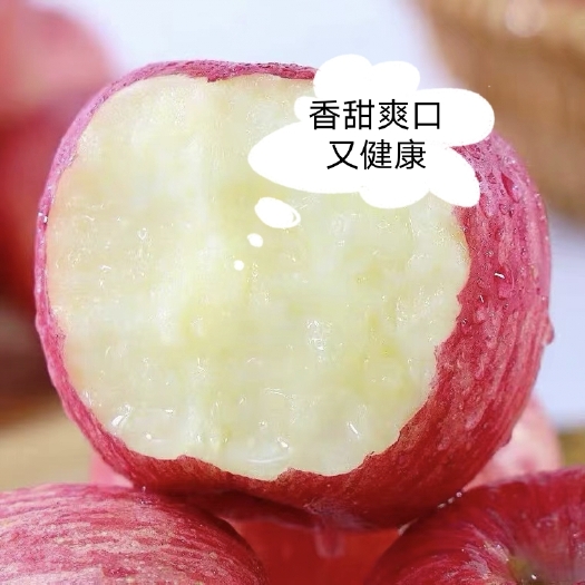 旬邑县小王家的红苹果【新鲜上市，好吃不贵，今天下单明天摘】