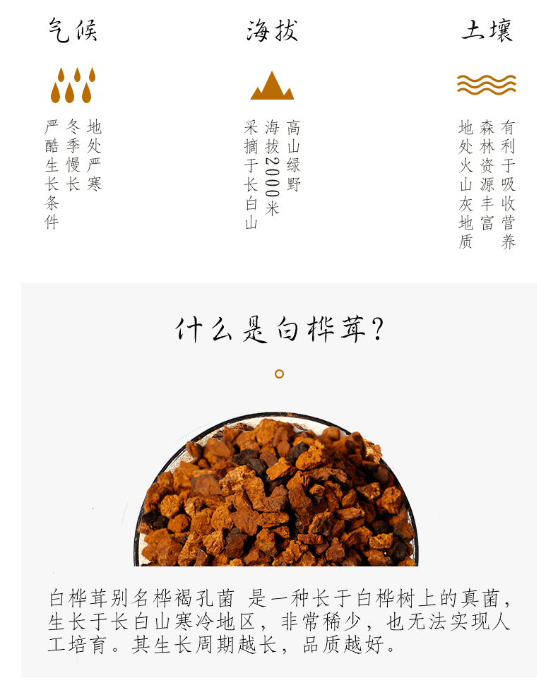 桦树茸白桦茸长白山桦褐孔菌茶黑金泪