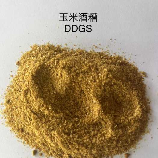 石家庄玉米酒糟DDGS