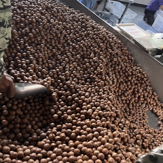 昌宁县夏威夷果专门批发一件代发的，价格优，品质好，有需要可私信