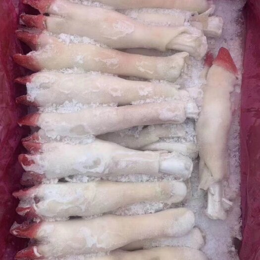 郑州羊蹄大中小羊蹄大中小羊蹄大中小羊蹄大中小羊蹄大中小羊蹄大中小