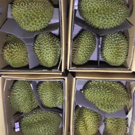 南宁金枕
