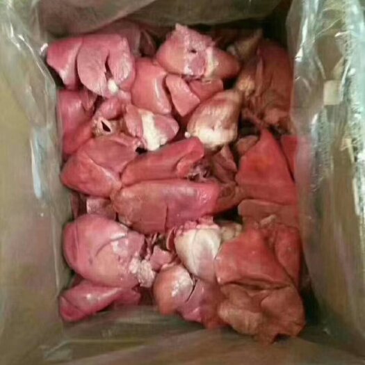 郑州羊心肺羊心肺羊心肺羊心肺羊心肺羊心肺羊心肺羊心肺羊心肺羊心肺