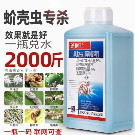 潍坊蚧壳虫杀虫剂杀扑介介壳虫专用药18吡虫噻嗪酮多肉花卉果树农药