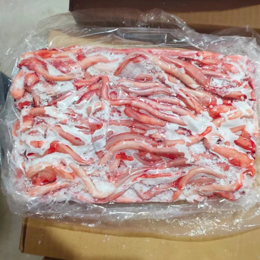 石家庄肥猪猪鞭