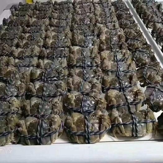 盱眙县江苏大闸蟹
