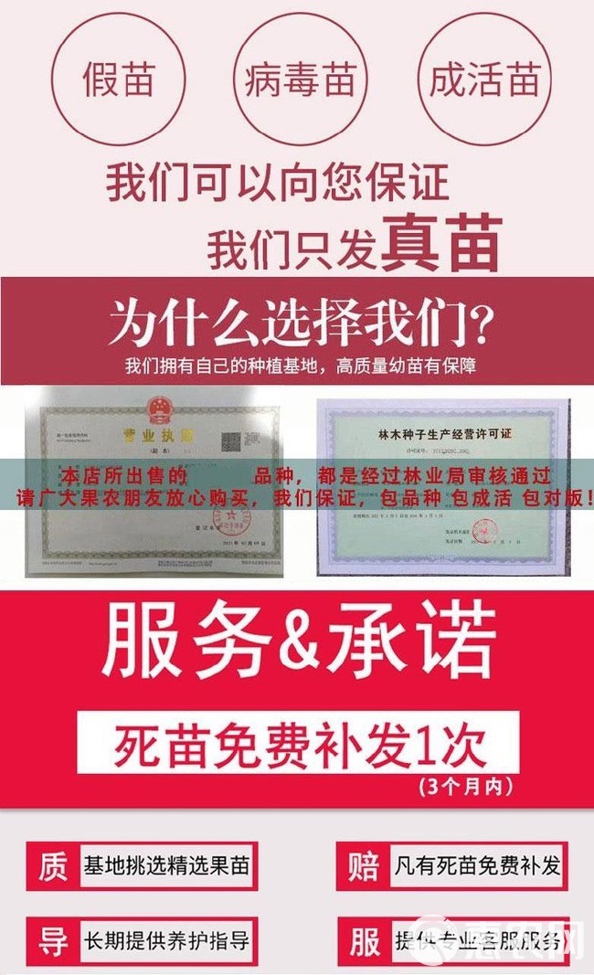 突尼斯、蒙阳红、无籽水晶、红如意、世纪、血鸽、大红袍、泰山红