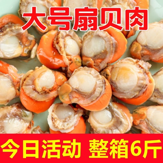 长沙顺丰包邮 大号扇贝肉新鲜冷冻扇贝贝类海鲜瑶柱海鲜水产批发