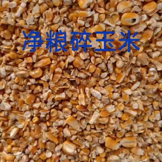 菏泽碎玉米，毛粮，净粮，无土，无沙，无霉变，养殖好饲料