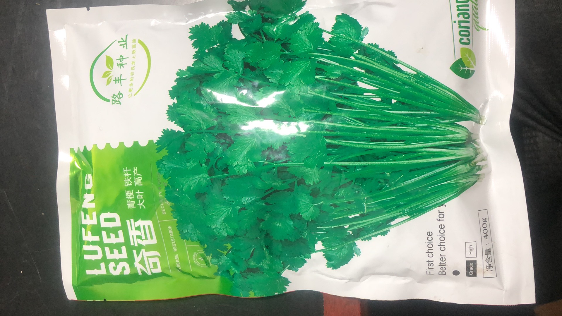 邯郸大叶铁杆香菜种子，澳洲四季铁杆耐抽苔，奇香品种