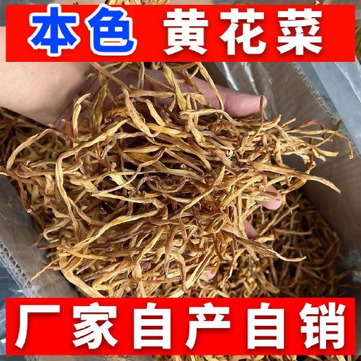 成都黄花菜干货忘忧草金针菜直条黄花菜厂家直供袋装整箱批发