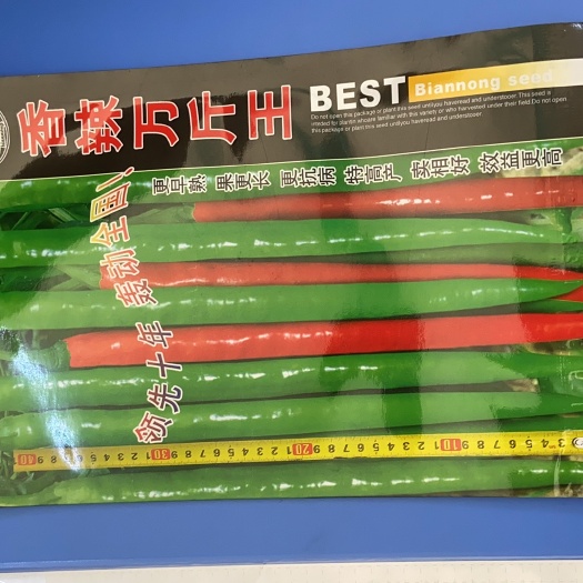 柳州香辣万斤王 线椒种子