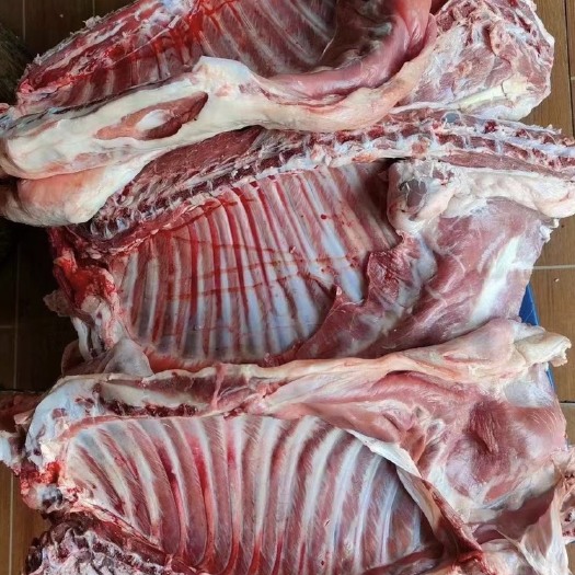 兰州羊排，后腿，前腿，现宰新鲜