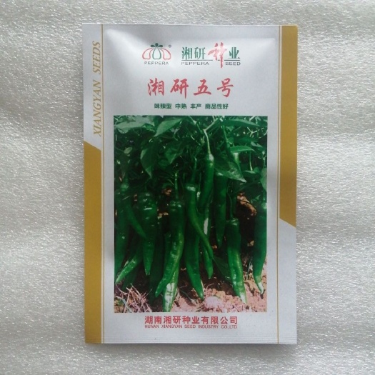 祁阳市湘研五号辣椒种子中熟长牛角型辣椒种子长且直肉厚