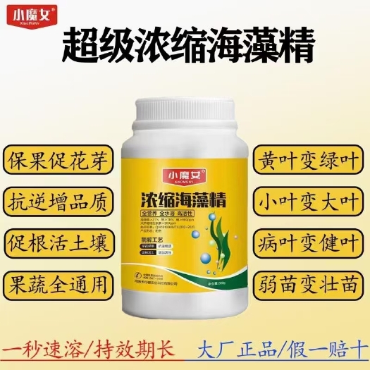 柘城县根系不发达、植株矮小、叶色发红、黄苗不长、小叶、僵苗