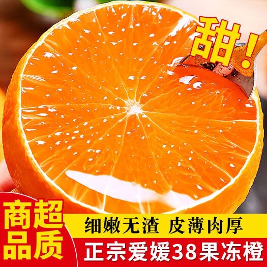 正宗四川愛媛果凍橙支持一件代發(fā)社區(qū)團(tuán)購批發(fā)