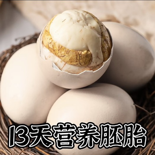 商丘活珠子
