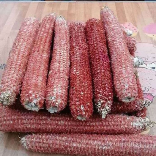 郓城县玉米芯，饲料辅料，花盆肥料，可做DIY手工，宠物窝等