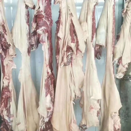 福州新鲜冷冻带皮鲜羊肉 优质带皮生羊肉 纯羊肉 去骨羊肉一箱19