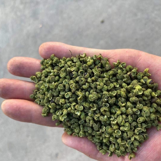 永善县青花椒，花椒，云南青花椒，昭通花椒