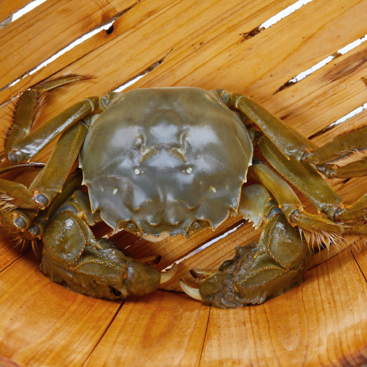 昆山市蟹家坡阳澄湖镇大闸蟹
