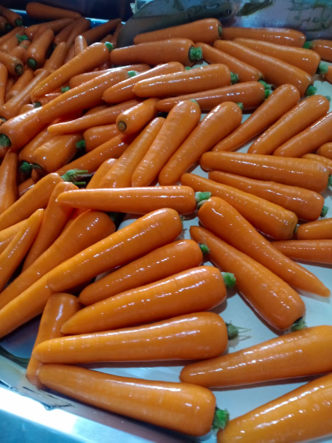 开封三红胡萝卜 精品胡萝卜 产地大量供应1（3～7两）