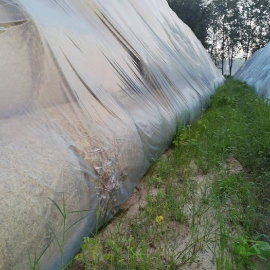 泗县小麦秸秆 麦秸秆 水电路三通