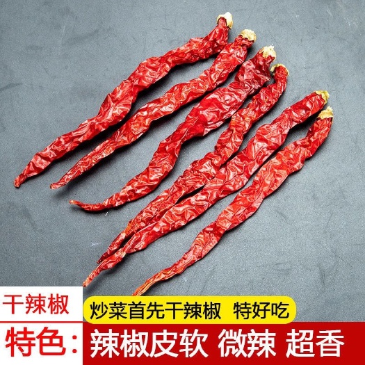 耒阳市微辣特香干红辣椒湖南正宗二荆条农家自晒 干辣子皱椒皮线椒特辣