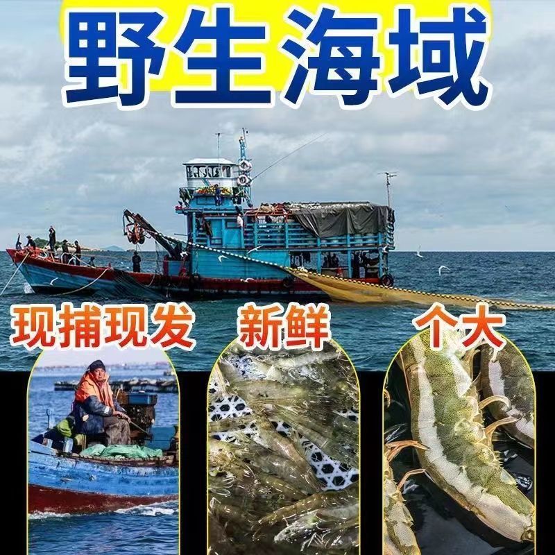 青岛大虾海鲜鲜活速冻特大冷冻基围虾海虾对虾青虾