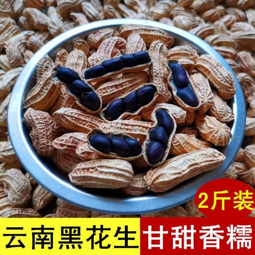 昆明云南特产农家紫花生黑花生水果甜味紫黑皮带壳生的新货原味散装