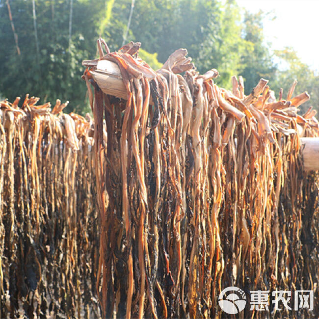 客家梅干菜梅州农家梅菜干无盐淡干无沙免洗纯手工自制新鲜梅菜干