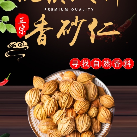 正宗广西无硫无熏香砂仁川砂仁