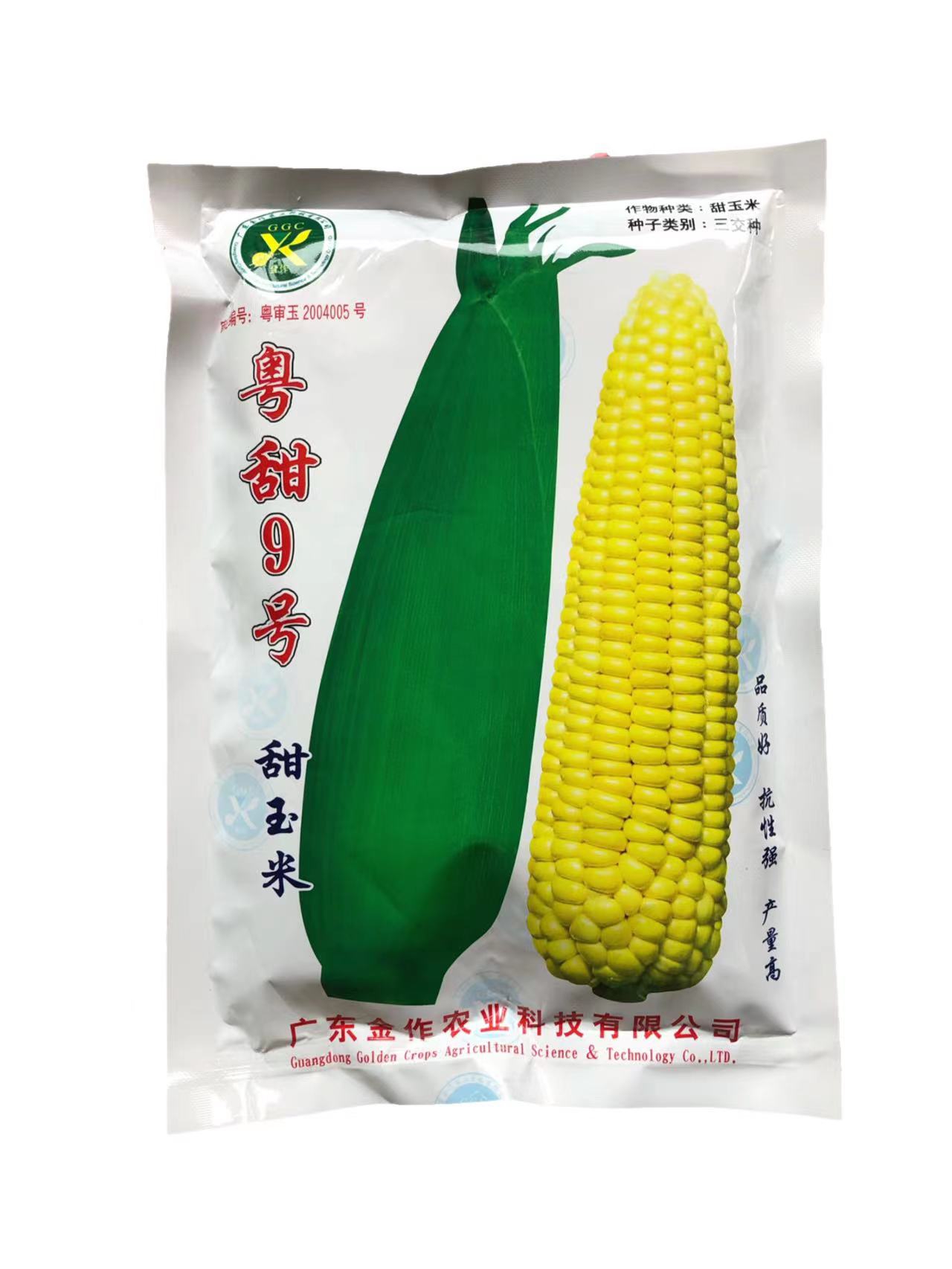 广州水果玉米种子广东农科院金作牌粤甜9号甜玉米种子250克