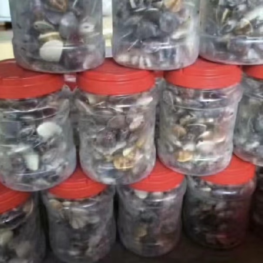 汕头潮汕本地白仔，角白，肚脐螺