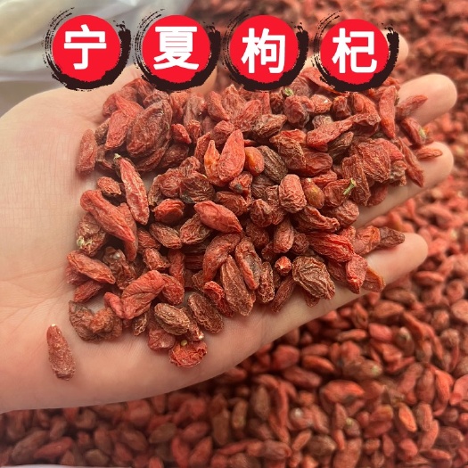 成都宁夏枸杞 枸杞新货散装枸杞批发油货枸杞