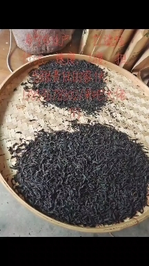 寿宁县奶茶饮料专用款