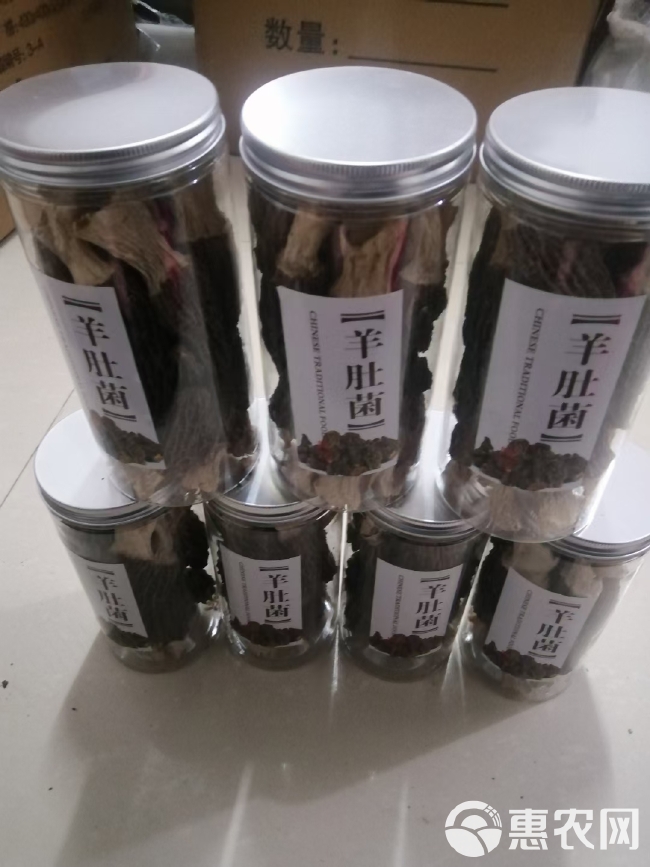 新货羊肚菌干货产地直供优质头茬半中大号煲汤食材农产品