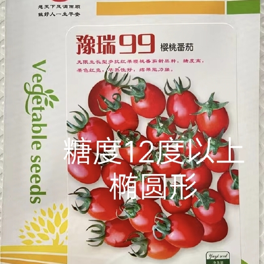 扶沟县豫瑞99小番茄种子小西红柿种子硬度好口感好经济效益高