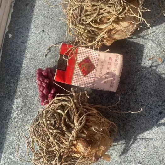 长春最便宜最好