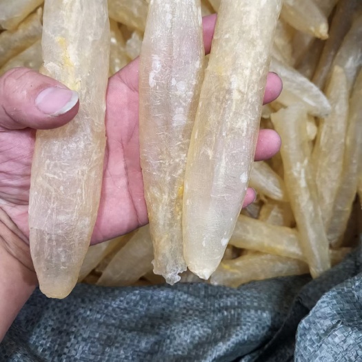 湛江22头巴沙胶筒，直筒巴沙胶，厚肉胶筒