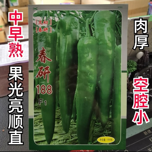 西安羊角椒种子文初春研188辣椒种子一代中早熟杂交抗病辣椒种