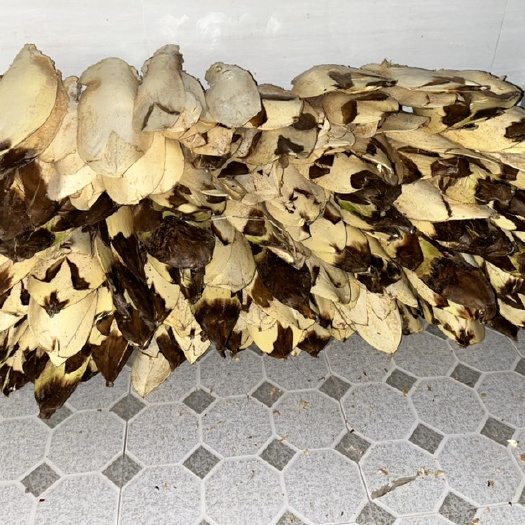 南漳县新鲜诚信粽包