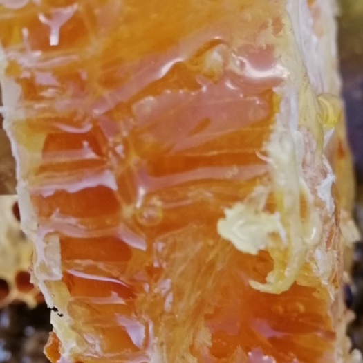 奉节采天地之精华，酿自然好蜜。来自大山的甜蜜。纯正百花蜜。