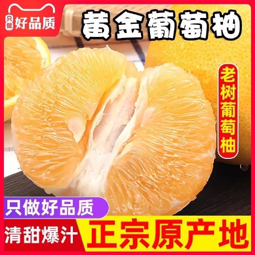 黄金葡萄柚皮薄肉多应季柚子一件代发纯甜爆汁5斤包邮产地直销