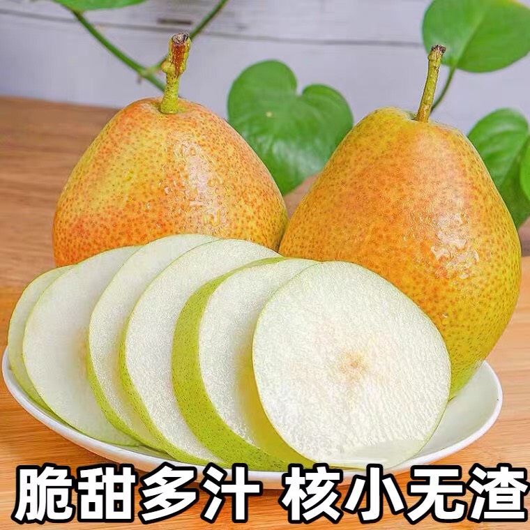 一抹红晕果库 红香酥梨 现货供应