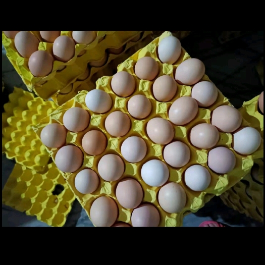 宁陵县活珠子