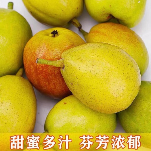 运城山西运城龙居一抹红晕果库红香酥梨