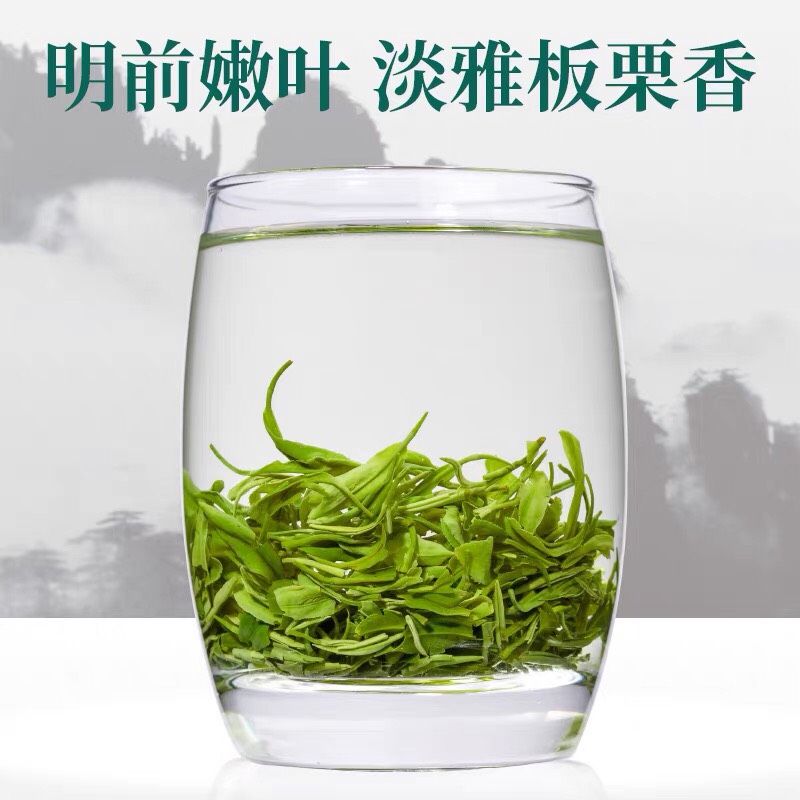 发1.5斤毛尖绿茶2022新茶浓香非特级春茶散装茶叶共750