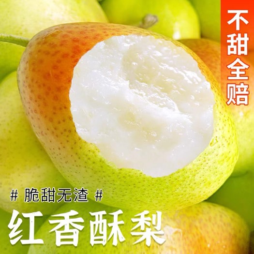 山西 运城 龙居 红香酥梨