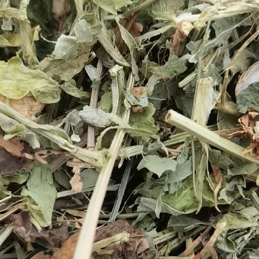 清丰县花生秧草料，无土无膜，无麦茬，干度很好
